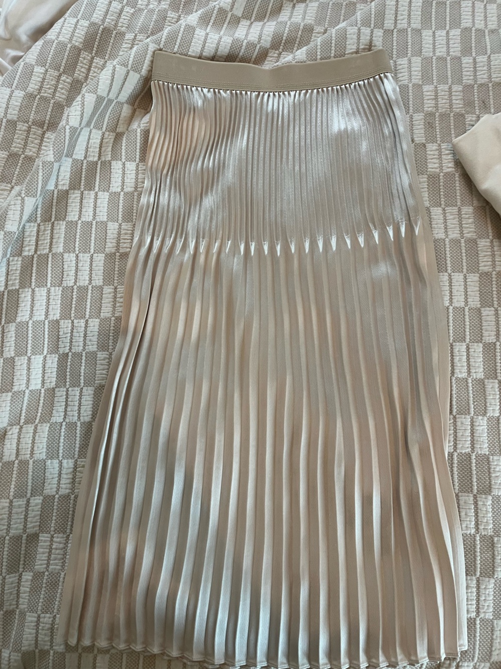 Pleated Midi Skirt in Champagne